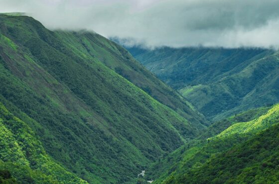 Mystic Meghalaya Tour