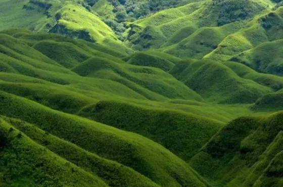 Dzukou Valley Special