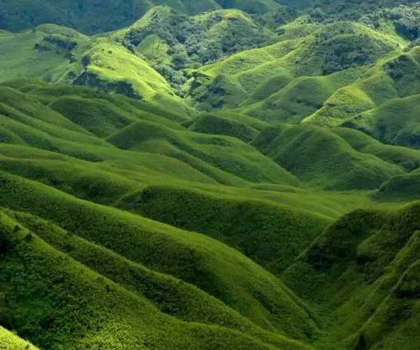 Dzukou Valley Special