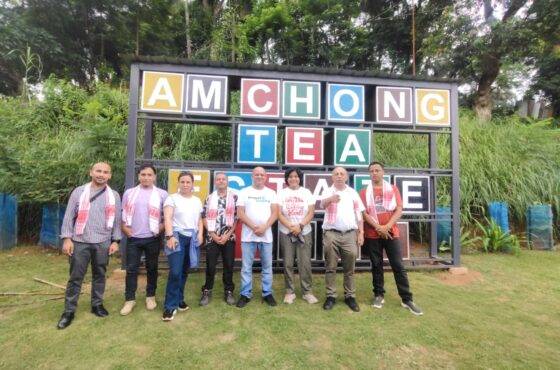 Amchong Tea Estate by The Shillong Tours – A Complete Tea Experience Near Guwahati