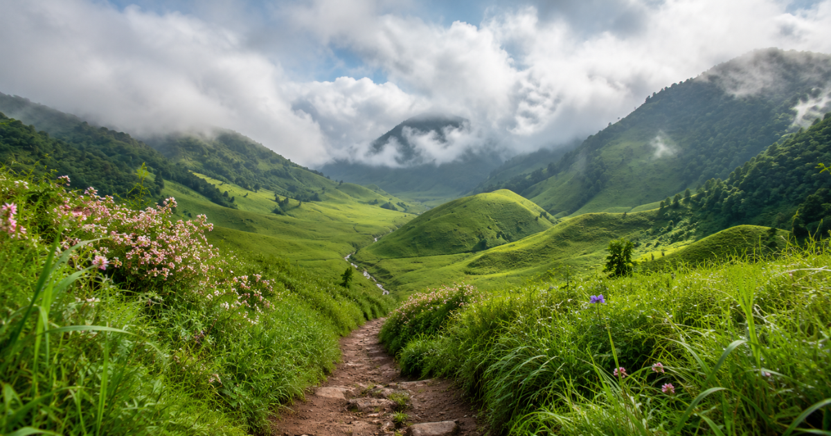 Dzukou Valley Trek
