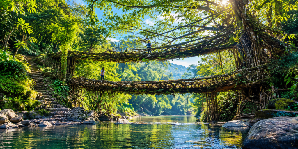 Two people walk on double-decker living root bridges over a river in a lush green forest, with sunlight filtering through the trees and stone steps visible on one side.