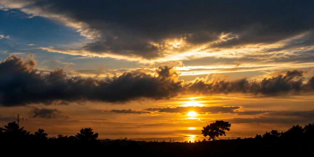 A dramatic sunset with golden sunlight breaking through dark clouds and silhouetted trees along the horizon.