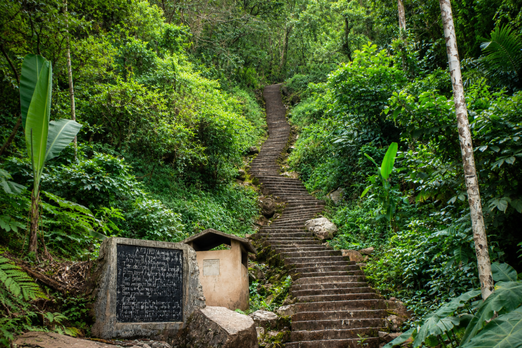 A stone staircase leads up through dense, lush green forest. At the bottom, there is a stone plaque with writing and another small stone structure surrounded by vegetation.
